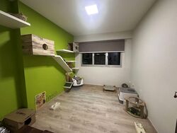Blk 293D Skypeak @ Bukit Batok (Bukit Batok), HDB 4 Rooms #570013411